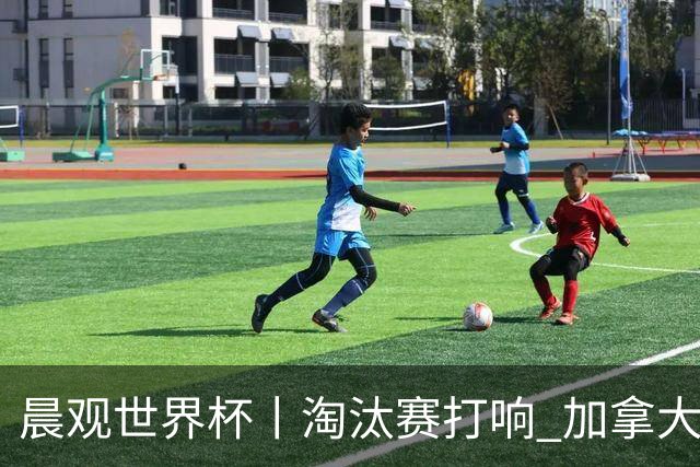 晨观世界杯丨淘汰赛打响 加拿大“绝杀”首进16强